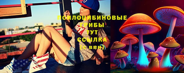 мяу мяу мука Вяземский