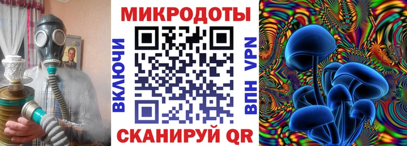 цены наркотик  Гусиноозёрск  Псилоцибиновые грибы Psilocybe 